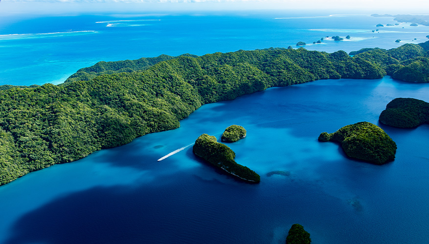 Rock Islands, Palua